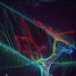 Imaging Competition Winners Announced

