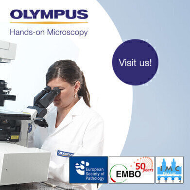 Hands-on microscopy discovery with the experts
