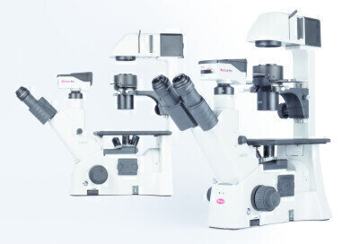 Motic Microscopes presents the new AE31E for microbiology
