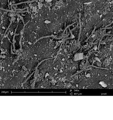 Fast and smart study of environmental pollution with Phenom ProX SEM
