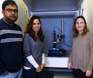 Report on the use of the NanoWizard® 3 AFM system at the Hebrew University of Jerusalem
