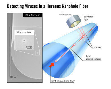 Seeing Viruses in a New Light with Nanoholes
