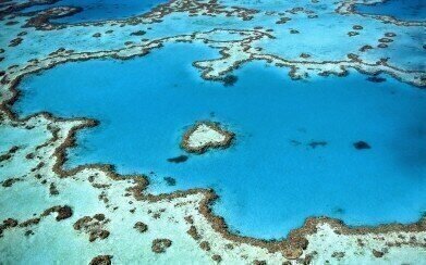 Why Is the Great Barrier Reef Facing the Worst Coral Bleaching in Its History?
