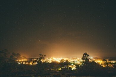 How Does Light Pollution Affect Trees?
