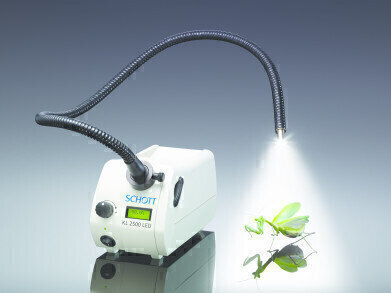 LED Cold Light Source Provides Solutions to Microscopy Challenges