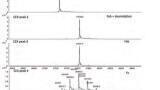 Strategies for the Characterisation of Biopharmaceuticals