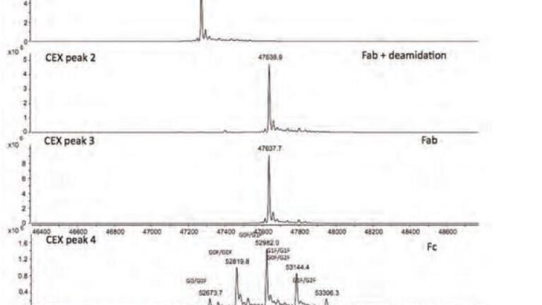 Strategies for the Characterisation of Biopharmaceuticals