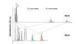 Electrostatic Effects in Hydrophilic Interaction Chromatography (HILIC): A Brief Review