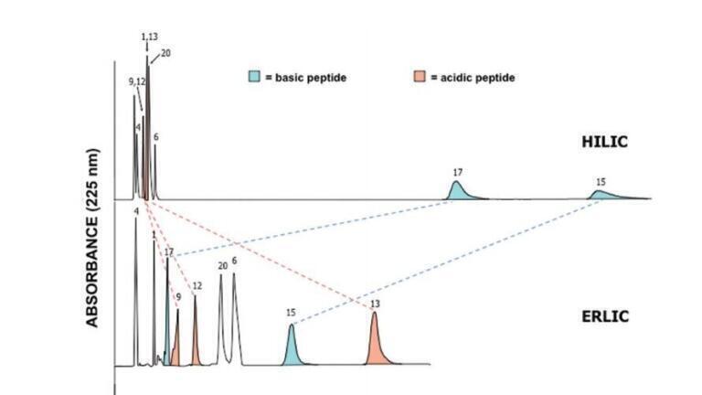 Electrostatic Effects in Hydrophilic Interaction Chromatography (HILIC): A Brief Review
