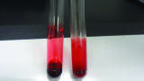 Navigating the Vast Array of Sample Preparation Techniques for Biological Samples – Whole Blood