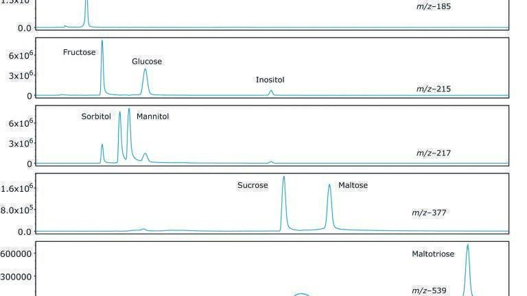Profiling and Quantification of Mono and Disaccharides and Selected Alditols in Juice, Beer, Wine, and Whiskey Using UHPLC with Mass Detection