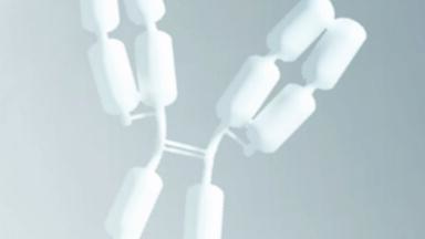 Ultrapure Water for HPLC–SEC Analysis
