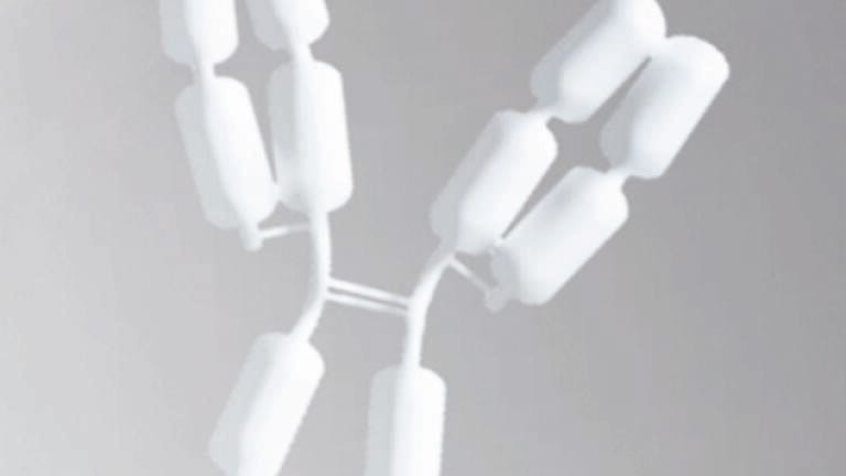 Ultrapure Water for HPLC–SEC Analysis