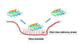 The use of High Performance Liquid Chromatography (HPLC) columns in Biomolecule analysis
