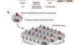 Ultrapure Water as a Component of Multi-Parametric Assays Used in Drug Discovery