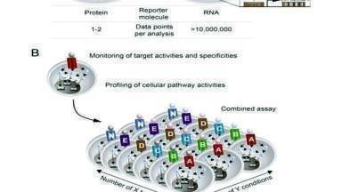 Ultrapure Water as a Component of Multi-Parametric Assays Used in Drug Discovery