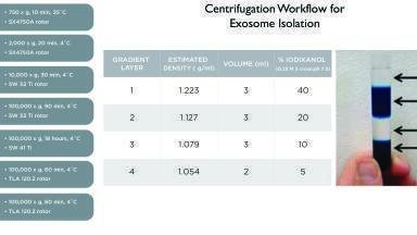 Exosome Isolation and Characterisation: A Standardised, Automated Approach with Ultracentrifugation