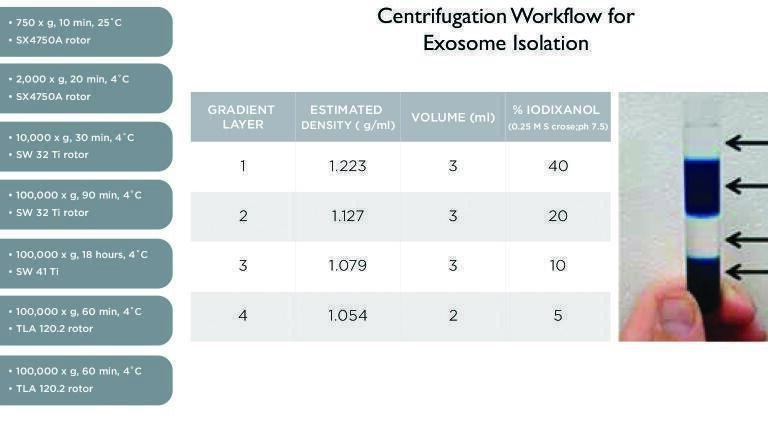 Exosome Isolation and Characterisation: A Standardised, Automated Approach with Ultracentrifugation