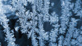 Freezing Point Determination of AVGAS and Jet Fuel  