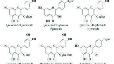Analytical Method Development and Validation for the Identification of Spiraeoside Using RP-HPLC in Pharmaceutical Gel Formulation