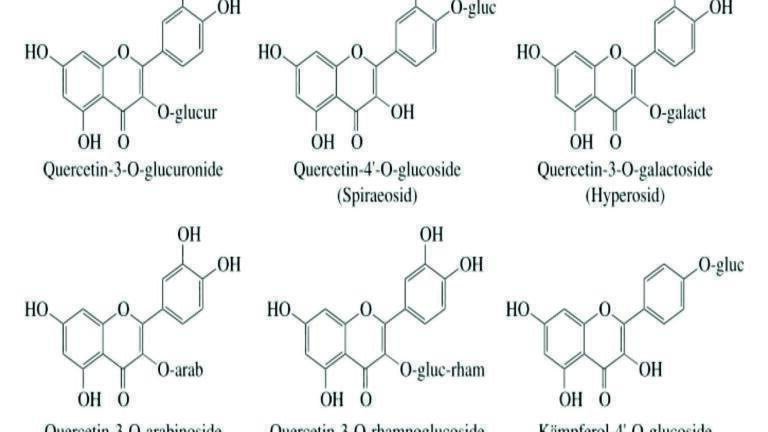 Analytical Method Development and Validation for the Identification of Spiraeoside Using RP-HPLC in Pharmaceutical Gel Formulation