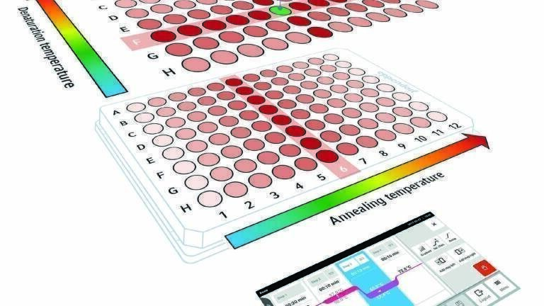 How to Achieve Ultimate PCR Optimisation  