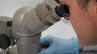 Characterising Unknowns: Behind the Scenes of Chemical Investigation