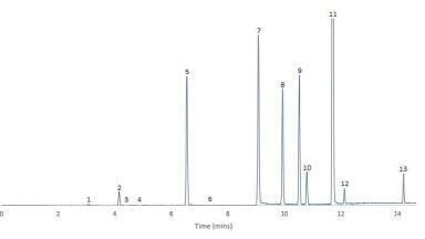 The Analysis of Flavours in Beer with ChromSync Software