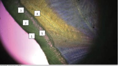 Achieving superior products using food freeze drying