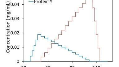 Fusion Protein Complexes Analysed by CG-MALS - Non-equivalent, Multivalent Interactions