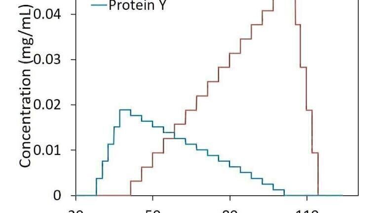 Fusion Protein Complexes Analysed by CG-MALS - Non-equivalent, Multivalent Interactions