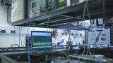 Lasers Reveal the Secrets of Plant Cell Walls