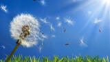 Something’s in the air – but what exactly?