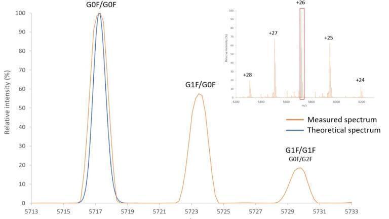 Accelerating Biopharmaceutical Development with Size Exclusion Chromatography Mass Spectrometry