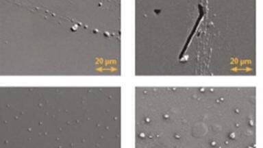 How Glass Vial Quality Affects Data Accuracy