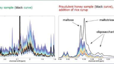 Tackling the Fraudsters: Using NMR to Detect Adulterated Honey