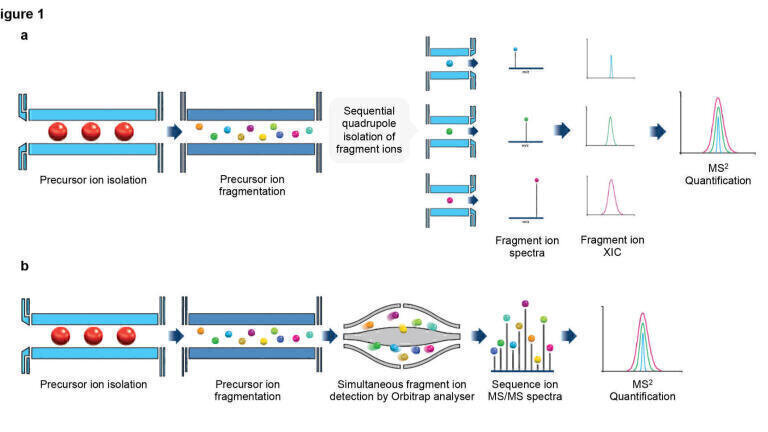 Rethinking oncological drug discovery with advances in analytical proteomics technology