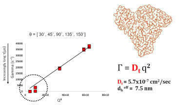 Optimising DLS Measurements for Protein Characterisation
