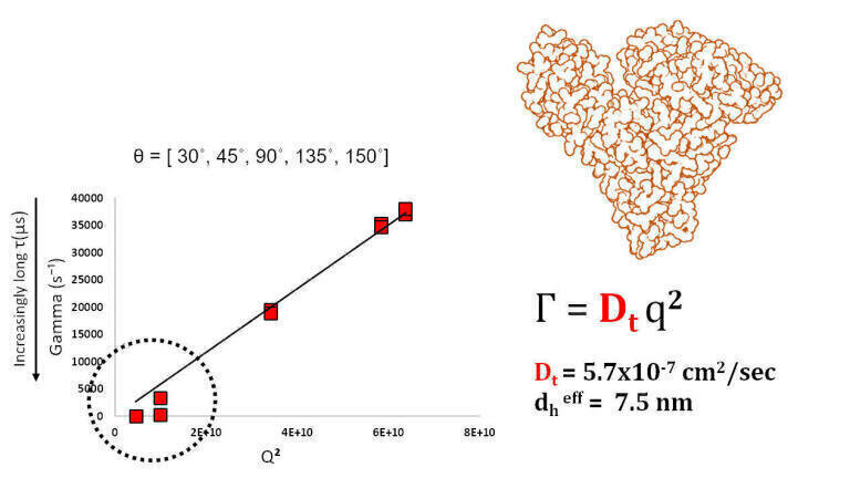 Optimising DLS Measurements for Protein Characterisation