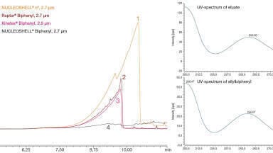 Biphenyl Modified Silica Stabilised by Bulky Substituents - A New Stationary Phase for HPLC
