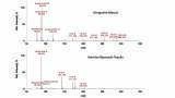 Ambient Ionisation MS and GC-MS Analysis and Identification of Aroma Compounds in Agave Based Alcoholic Beverages