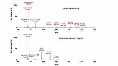 Ambient Ionisation MS and GC-MS Analysis and Identification of Aroma Compounds in Agave Based Alcoholic Beverages
