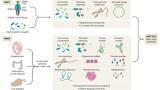 Automating for Multi-omics Workflows for drug discovery and toxicology