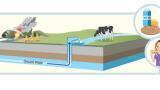 New Concerns about PFAS in Food: The Convergence of Environmental Contamination and Food Safety