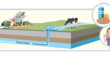New Concerns about PFAS in Food: The Convergence of Environmental Contamination and Food Safety