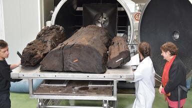 How the world’s most advanced analytical techniques are saving ‘doomed’ shipwrecks