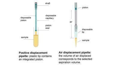 Are you using the right micropipette?