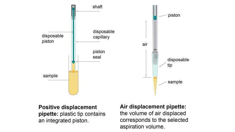 Are you using the right micropipette?