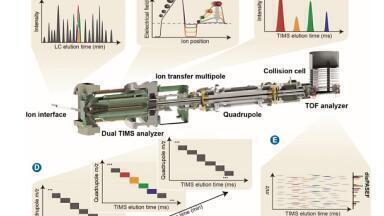 dia-PASEF: A Result of the Co-evolution of Mass Spectrometry and Proteomics