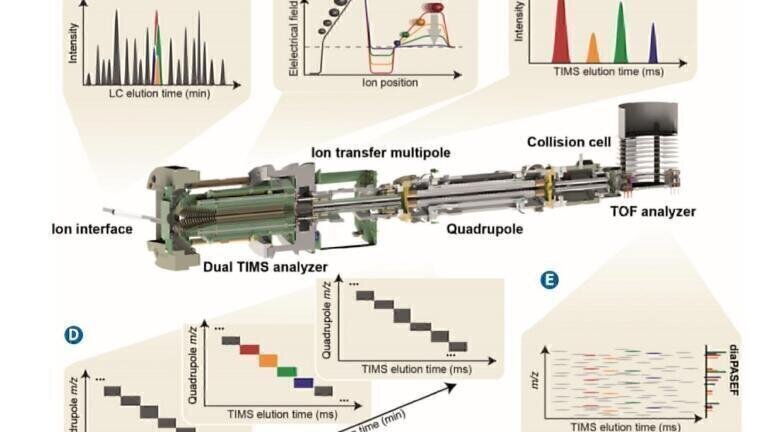 dia-PASEF: A Result of the Co-evolution of Mass Spectrometry and Proteomics